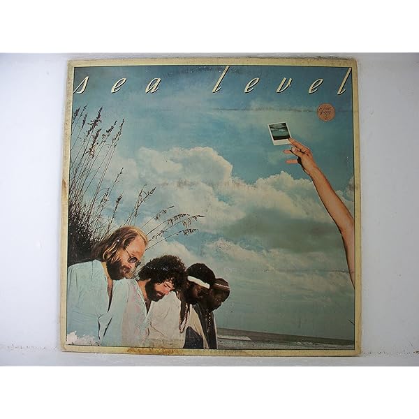 Sea Level - Cats on the Coast - Amazon.com Music